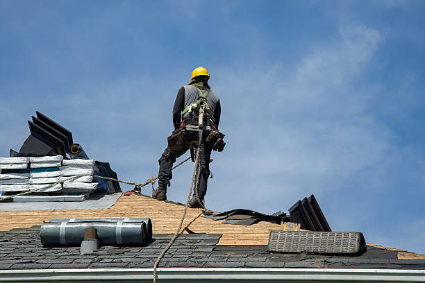 Professional Roofing technician working in Bertha, MN
